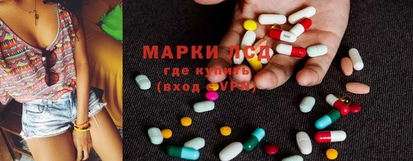 ешки Аркадак
