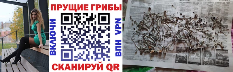 Псилоцибиновые грибы Magic Shrooms OMG сайт Урай наркошоп